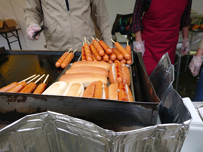 DSC_0001_BURST20191124135051273